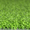 العشب الاصطناعي للجولف في الهواء الطلق وداخلي وضع الأخضر 10-15 ملم المزود