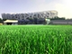 كرة القدم العشب الطبيعي العشب الاصطناعي منسوجة ارتفاع 50 مم المزود