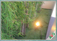 التفاح الأخضر على شكل عشب اصطناعي داخلي لتزيين الحدائق المنزلية المزود