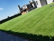 20-50mm أرضية العشب الاصطناعي Fakegrass العشب السجاد الأخضر في الهواء الطلق المزود