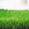 12400 ديتكس ملعب تنس عشب اصطناعي حديقة سجادة خضراء حديقة لانسكابينج المزود