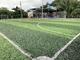 العشب الاصطناعي لملعب كرة القدم بالزيتون ثنائي اللون من البولي ايثيلين المزود