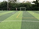 العشب الاصطناعي لملعب كرة القدم الأحادي 171 جرام / متر مربع 6 فروع المزود