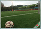كرة القدم المهنية لكرة القدم العشب الاصطناعي 12 سنة مضمونة العشب الاصطناعي لكرة القدم المزود