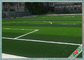 كرة قدم مزيف مرج 13000 غزل Dtex لون أخضر كرة قدم متحمّل كرة قدم اصطناعيّ المزود