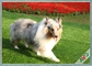 مقاومة للأشعة فوق البنفسجية الكلب الحيوانات الأليفة العشب الاصطناعي / تركيب صديقة للبيئة العشب الاصطناعي المزود