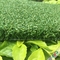 10 مم كومة ارتفاع الجولف الطبيعي العشب الاصطناعي / الجولف داخلي وضع الأخضر المزود