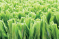 سجادة عشب صناعي 12000 Dtex مصفاة جيدًا من العشب الصناعي المزود