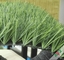 العشب الاصطناعي لكرة القدم ذو الشكل الماسي القياسي من FIFA مع 160 غرزة / 60 ملم ارتفاع كومة المزود