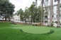 العشب الاصطناعي PP + Fleece Garden مع لون مشرق ضمان 5 سنوات المزود