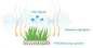 حيدة مجعد الغزل العشب الاصطناعي في الهواء الطلق المناظر الطبيعية الصحية كاذبة العشب المزود